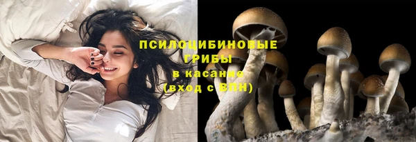 мдма Инта