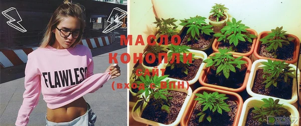 мдма Инта