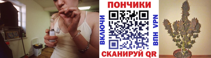 Купить где  Кашин  Марихуана гибрид 